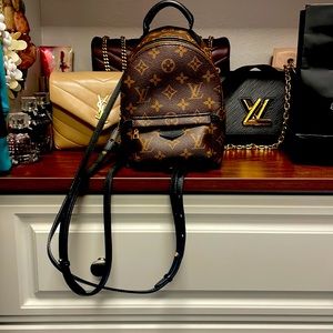 Louis Vuitton Palm Springs Backpack- like new! Out of Stock everywhere!